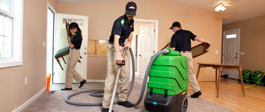 Oswego, IL cleaning services